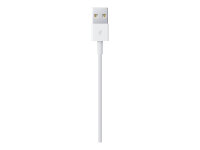 Kabel Apple USB Lade-/Datenkabel lightning | 1m